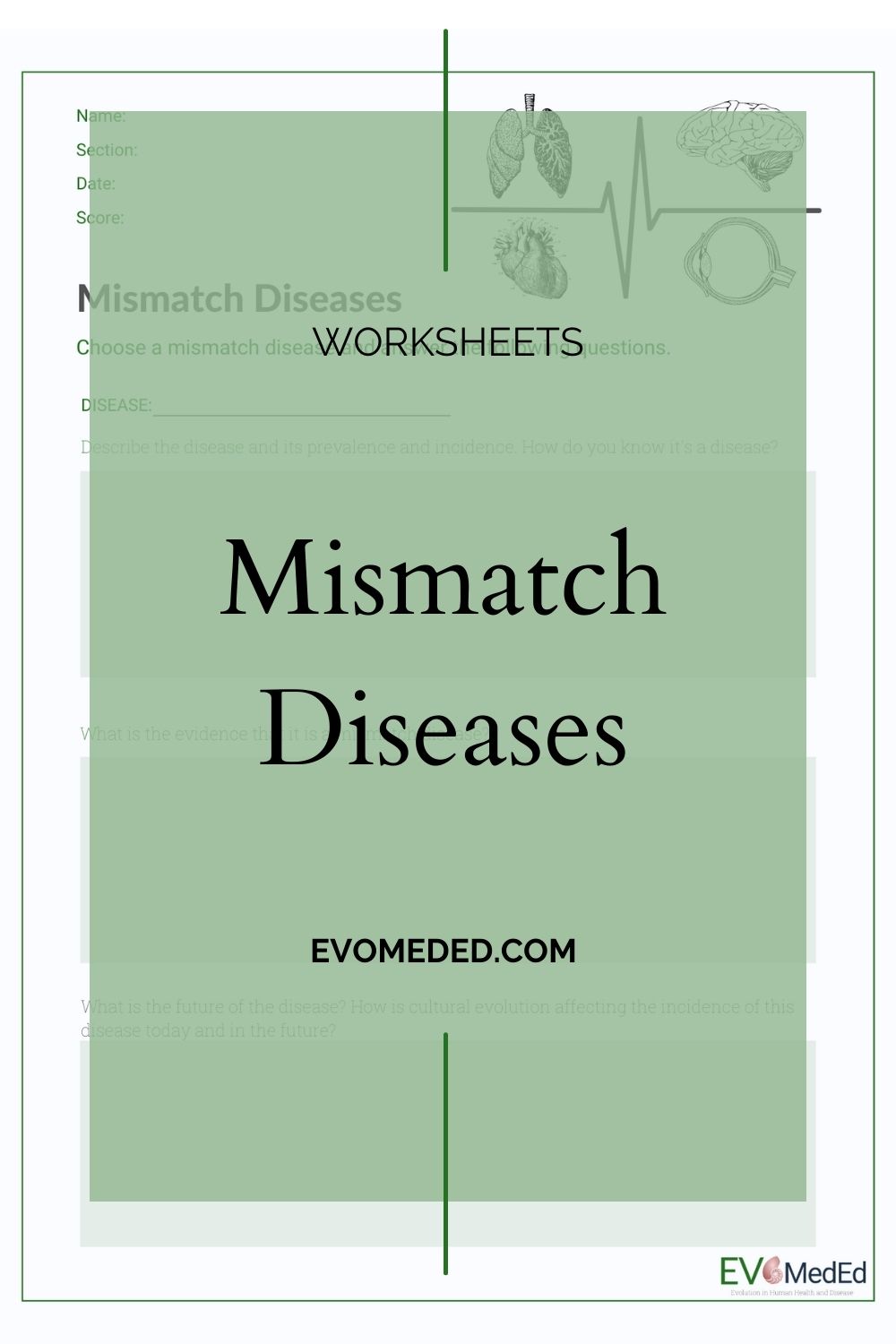 Read more about the article Mismatch Disease Worksheet