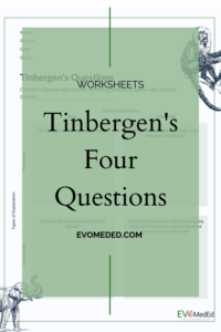 Read more about the article Tinbergen’s Four Questions